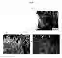 Fig. 09 - Process for producing porous composite materials
