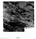 Fig. 05 - Polymer nanocomposite foams