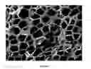 Fig. 07 - Polymer nanocomposite foams