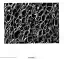 Fig. 08 - Polymer nanocomposite foams