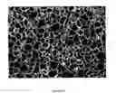 Fig. 09 - Polymer nanocomposite foams