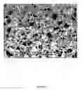 Fig. 12 - Polymer nanocomposite foams