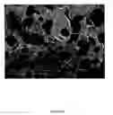 Fig. 15 - Polymer nanocomposite foams