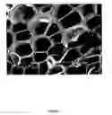 Fig. 18 - Polymer nanocomposite foams