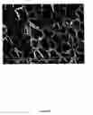 Fig. 19 - Polymer nanocomposite foams