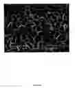 Fig. 20 - Polymer nanocomposite foams