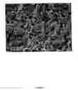 Fig. 23 - Polymer nanocomposite foams