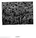 Fig. 24 - Polymer nanocomposite foams