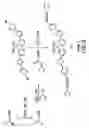 Fig. 09 - Light emitting polymer