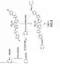 Fig. 10 - Light emitting polymer