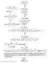 Fig. 12 - Light emitting polymer