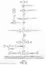 Fig. 13 - Light emitting polymer