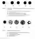 Fig. 02 - Water dispersions of non-uniform polyurethane particles