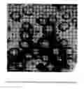 Fig. 04 - Water dispersions of non-uniform polyurethane particles