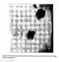 Fig. 06 - Water dispersions of non-uniform polyurethane particles