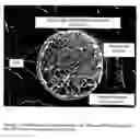 Fig. 08 - Water dispersions of non-uniform polyurethane particles