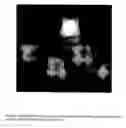 Fig. 09 - Water dispersions of non-uniform polyurethane particles