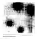 Fig. 12 - Water dispersions of non-uniform polyurethane particles
