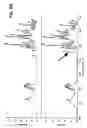 Fig. 05 - Terpolymers from lactide