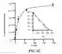 Fig. 05 - Novel type II Na/Pi cotransporters and type II Na/Pi cotransporter expression regulatory factors