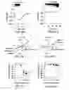 Fig. 07 - Novel type II Na/Pi cotransporters and type II Na/Pi cotransporter expression regulatory factors