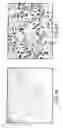 Fig. 10 - Novel type II Na/Pi cotransporters and type II Na/Pi cotransporter expression regulatory factors