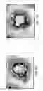 Fig. 12 - Novel type II Na/Pi cotransporters and type II Na/Pi cotransporter expression regulatory factors