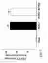 Fig. 14 - Novel type II Na/Pi cotransporters and type II Na/Pi cotransporter expression regulatory factors