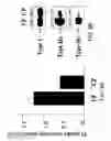 Fig. 15 - Novel type II Na/Pi cotransporters and type II Na/Pi cotransporter expression regulatory factors
