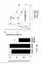 Fig. 16 - Novel type II Na/Pi cotransporters and type II Na/Pi cotransporter expression regulatory factors