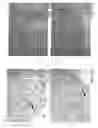 Fig. 20 - Novel type II Na/Pi cotransporters and type II Na/Pi cotransporter expression regulatory factors