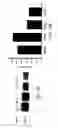 Fig. 21 - Novel type II Na/Pi cotransporters and type II Na/Pi cotransporter expression regulatory factors