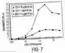 Fig. 05 - Single-chain multiple antigen-binding molecule, its preparation and use