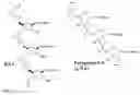 Fig. 02 - Linker nucleoside, its preparation and use