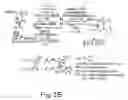 Fig. 04 - Linker nucleoside, its preparation and use