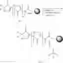 Fig. 13 - Solution and solid phase synthesis of pyrrolinones and polypyrrolinones