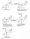 Fig. 01 - Process for the production of oxandrolone