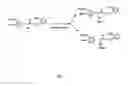 Fig. 02 - Process for the separation of R(-)-and S(+)-5-[2-[[2-(2-ethoxyphenoxy)ethyl]amino]propyl]-2- methoxybenzenesulfonamide