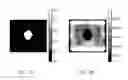 Fig. 07 - Harmonic motion imaging