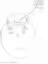 Fig. 02 - Method of positioning electrodes for central nervous system monitoring