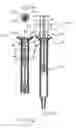 Fig. 05 - Syringes and syringe systems for selectively dispensing controlled amounts of a therapeutic substance