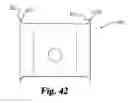 Fig. 32 - Bone grafts
