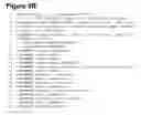 Fig. 29 - Digital rights management in a mobile communications environment