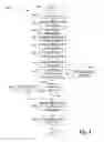Fig. 05 - Reflection-based processing of input parameters for commands
