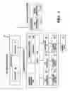 Fig. 05 - Web services access to classification engines