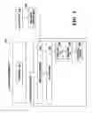 Fig. 09 - Web services access to classification engines