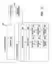 Fig. 12 - Web services access to classification engines