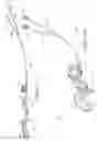 Fig. 07 - Fishing rod