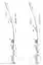Fig. 08 - Fishing rod