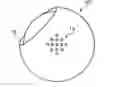 Fig. 01 - Light producing pet toy